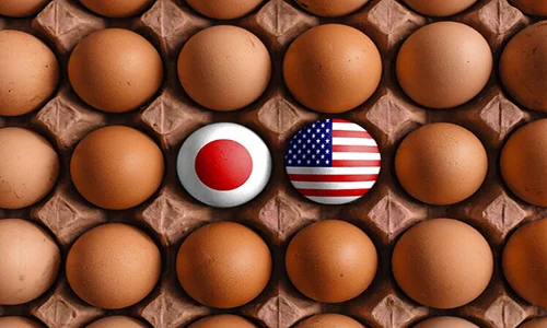 日本拒绝美国对中印加征关税要求 直言很难因进口俄油而提高关税缩略图