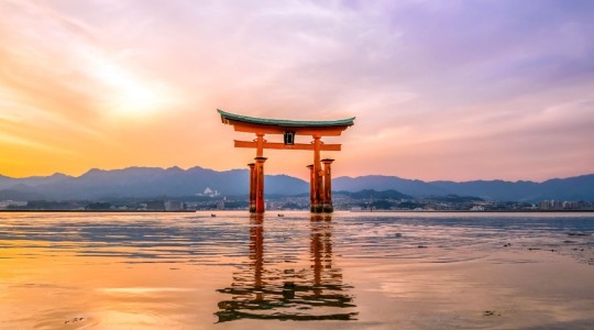 OANDA日本计划退出基于网页的MetaTrader平台，并针对使用Passkey进行的网络钓鱼攻击展开调查缩略图